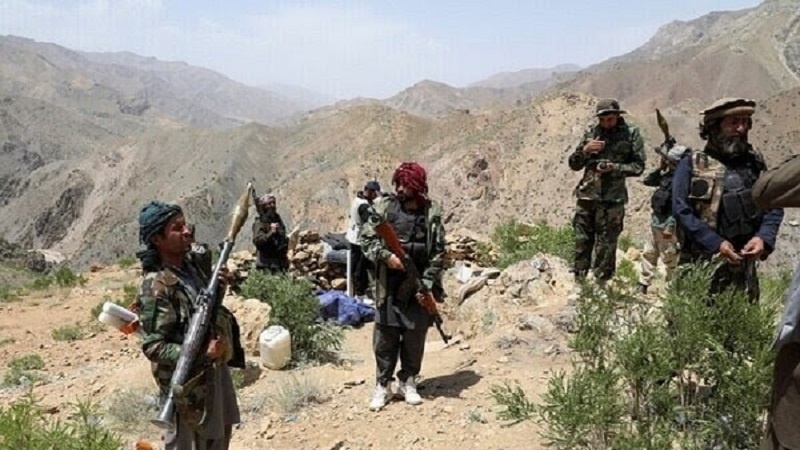 Afghanistan Times: Фронт Панджшера вывел три района из-под контроля талибов