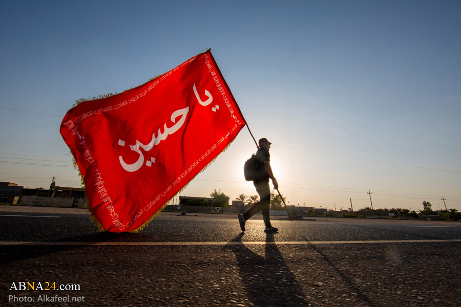 تقارير مصورة / مسيرة أربعينية الامام الحسين (ع) في جنوب العراق