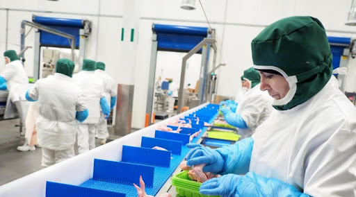 Поставки продукции птицеводства из провинции Голестан идут в 15 стран