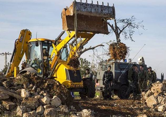 مستوطنون يشقون طريقا استيطانيا على أراضي الفلسطينيين في بيت لحم
