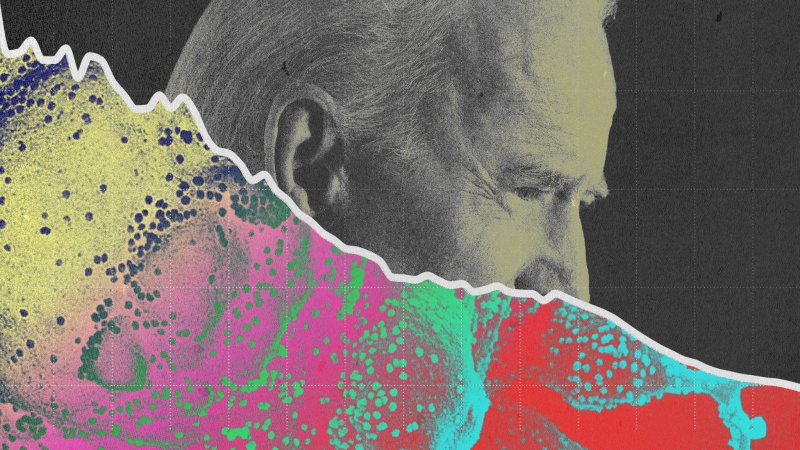 Pew: Rais Joe Biden wa Marekani ana aina fulani ya "ujinga"