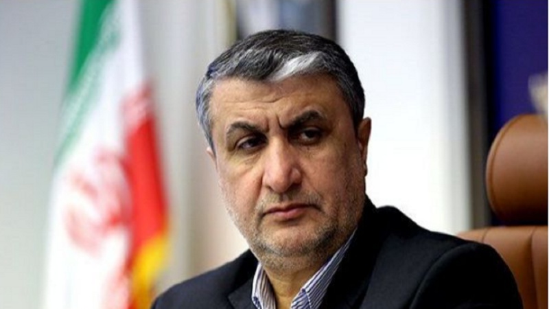 イラン原子力庁長官、「IAEAはテロ組織の玩具になってはならない」