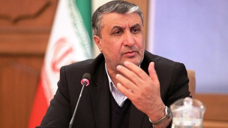 イラン原子力庁長官、「発電量の５割を原子力でまかなうことを追求」