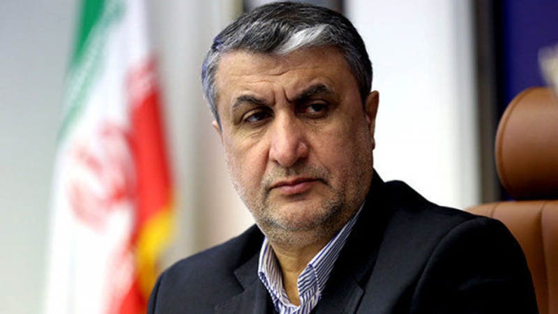 ایران پچاس فیصد بجلی ایٹمی انرجی سے حاصل کرے گا