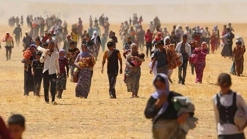 نیویۆرک تایمز: چارەنووسی نادیاری 3000 کوردی ئێزدی