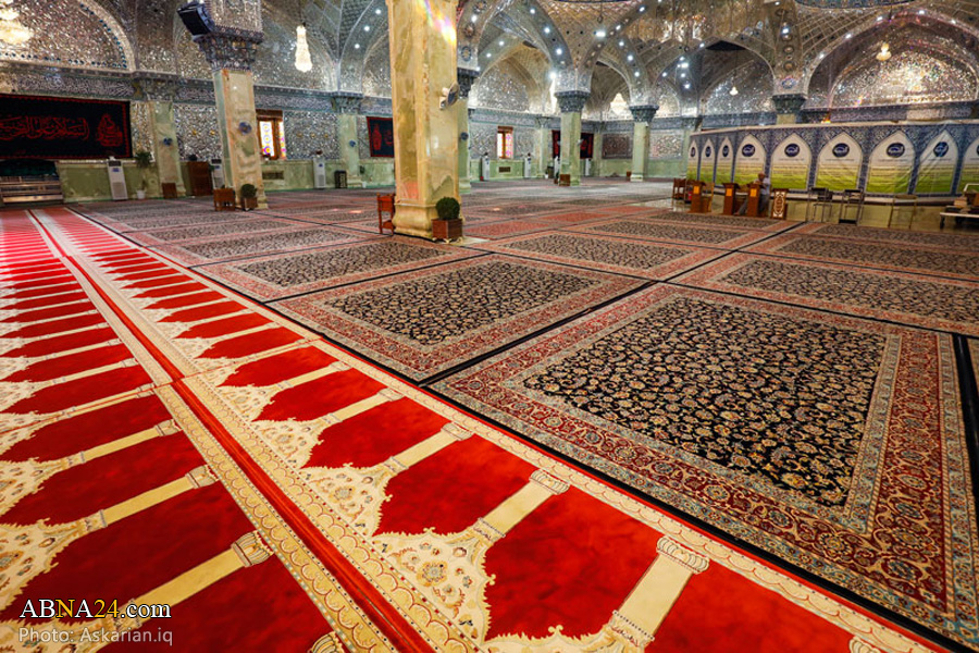 تقرير مصور/ فرش 3000 الاف سجادة بمناسبة ذكرى استشهاد الإمام الحسن العسكري (ع)