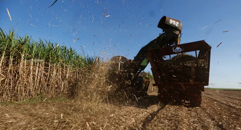 O que é preciso para o Brasil virar potência no agronegócio e elevar sua rentabilidade?