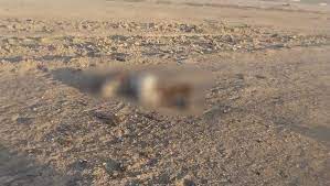 جيش الاحتلال الأميركي يعلن مقتل القيادي بتنظيم القاعدة "عبد الحميد المطر" في سوريا