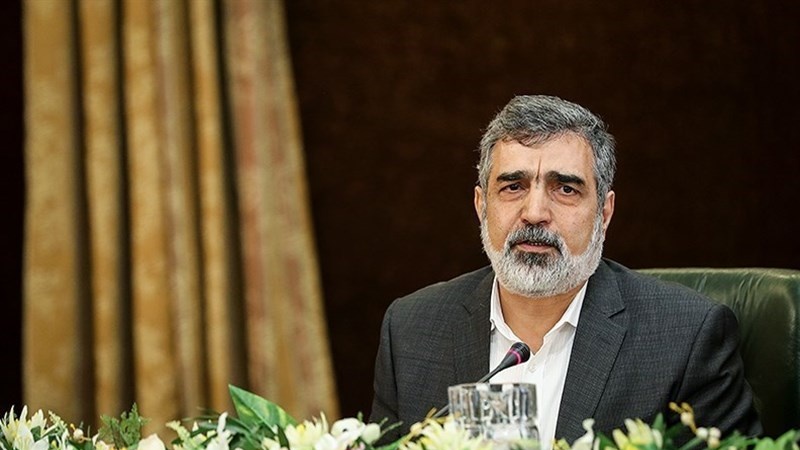 ایٹمی ٹکنالوجی کے سلسلے میں عالم اسلام کے ساتھ تعاون کو تیار ہیں: ایران