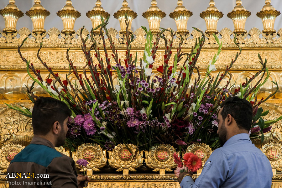  အမီးရြလ္ မိုအ္ေမနီးန္  ေမာင္လာအလီ (အ.စ) ေရာင္ဇာေတာ္ အား ရွက္ဗ္ေဗ မီးလာဒ္ နဘီ (ဆြ) အခ်ိန္အခါသမယ တြင္ ျပင္ဆင္   ။ ။ Photos 