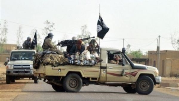 العدوان السعودي يستقدم عناصر القاعدة الارهابية من وادي حضرموت إلى مأرب
