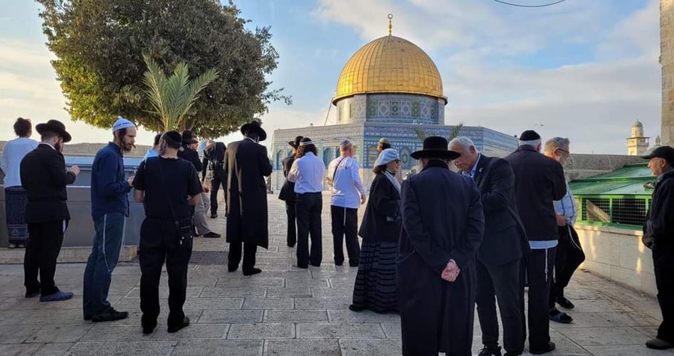 Near 150 extremist Jewish settlers defile Aqsa Mosque