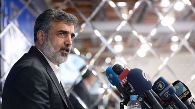Iran fordert IAEA auf, Veröffentlichung geheimer Informationen zu stoppen