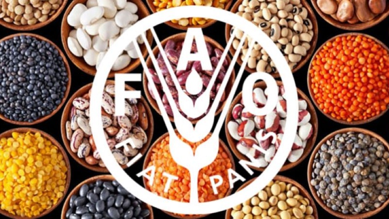 FAO「世界食料価格指数は記録的に上昇」