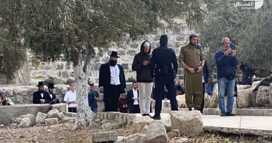 97 Fanatic Jewish settlers defile Aqsa Mosque in morning tours