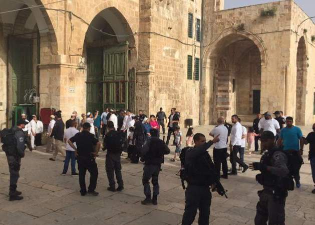 82 مستوطنا يدنسون الأقصى المبارك