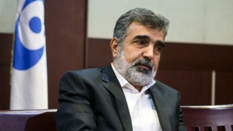 Kemalvandi: İran’ın nükleer faaliyetleri yasal çerçevededir