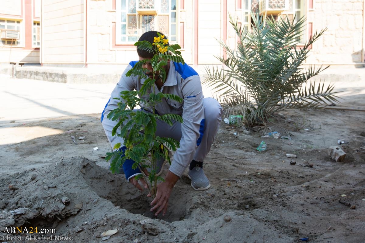 Al-Abbas holy shrine launches an extensive campaign to plant trees in Karbala schools