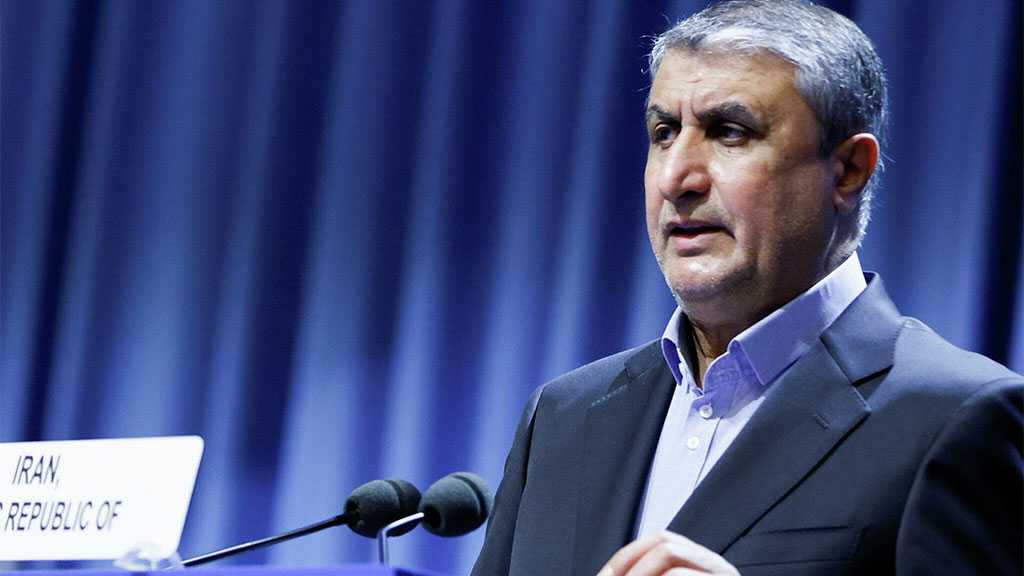 Head of AEOI: Iran's nuclear path merely 'peaceful'