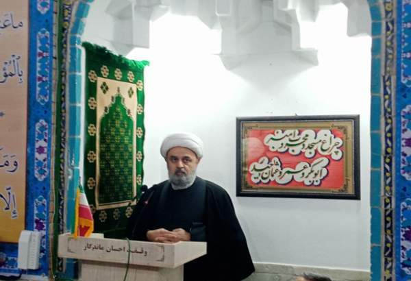 Senior Shia cleric hails Sunnis assistance for resistance movement in Gaza