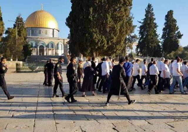 قرابة 200 مستوطن يدنسون المسجد الأقصى