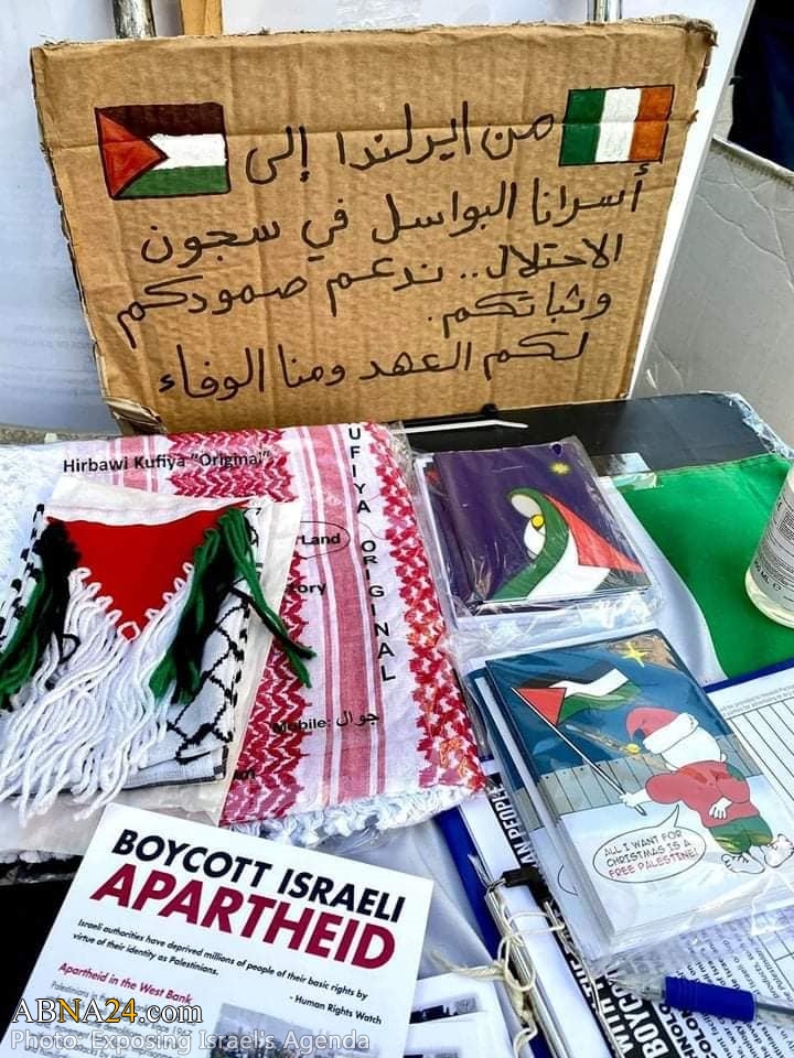 Акция солидарности с Палестиной в столице Ирландии Дублине + Фото