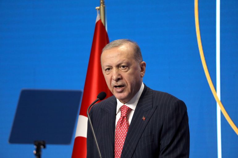 Erdogan reacts to publication of insulting book to Prophet for Syrian kids