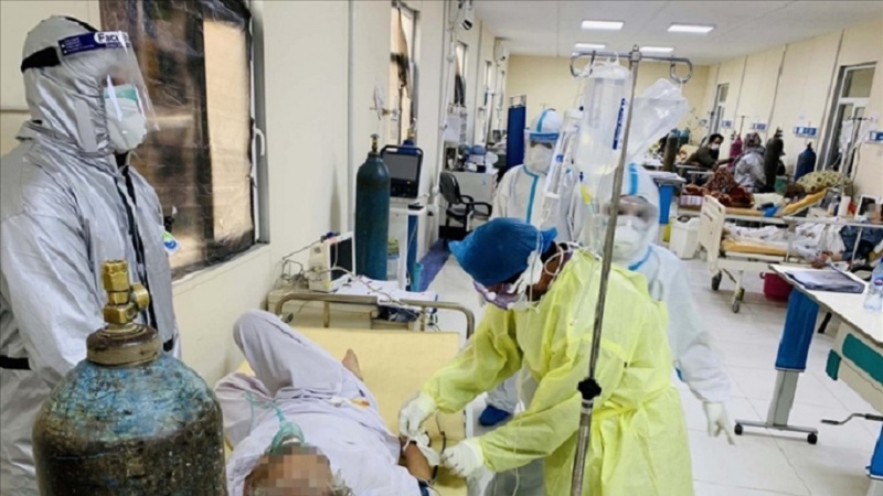 Корона дар Афғонистон ; Шиносоии 12 бемор ва ҷон бохтани ду нафар