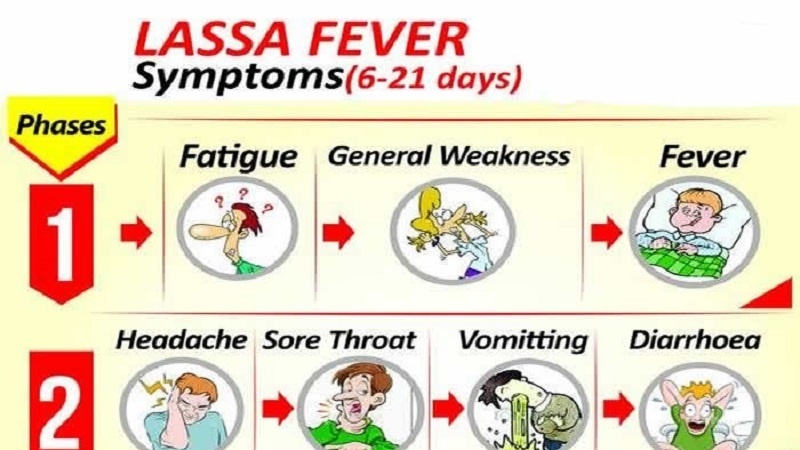 Homa ya Lassa yaua watu 80 chini Nigeria