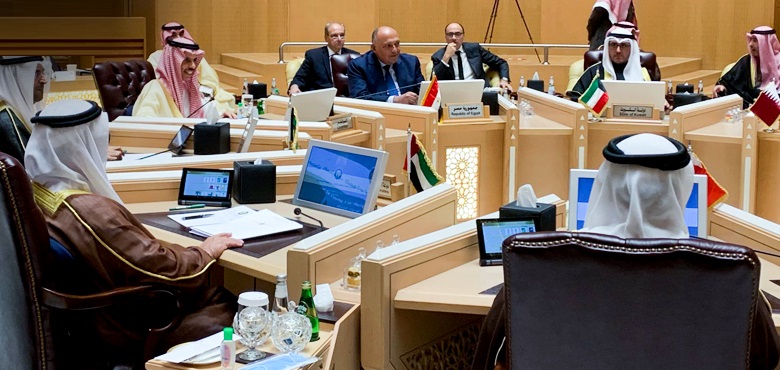 Egypt’s Persian Gulf presence roadmap: potentials, reasons