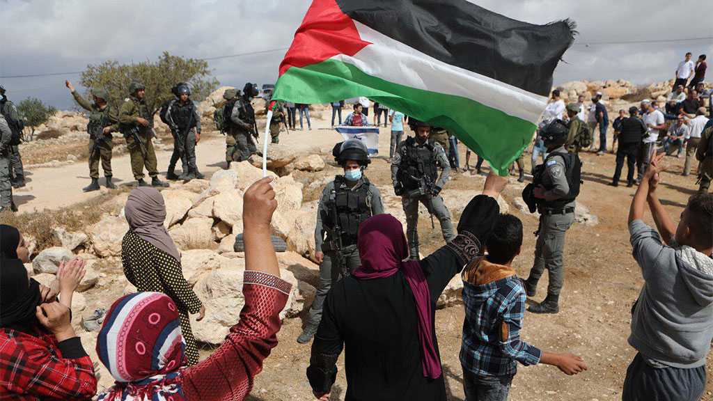 Urgent int'l intervention need to stop Israeli settlers terrorism against Palestinian villagers