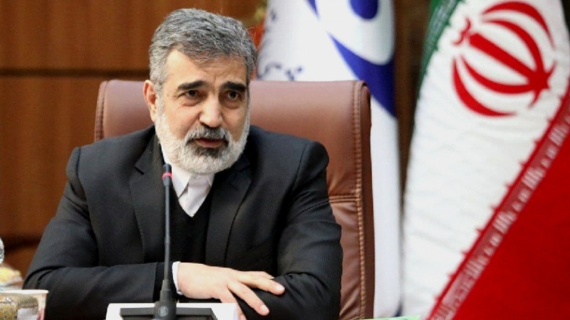 イラン原子力庁報道官「イランとＩＡＥＡの間の問題は通常の形で追及」