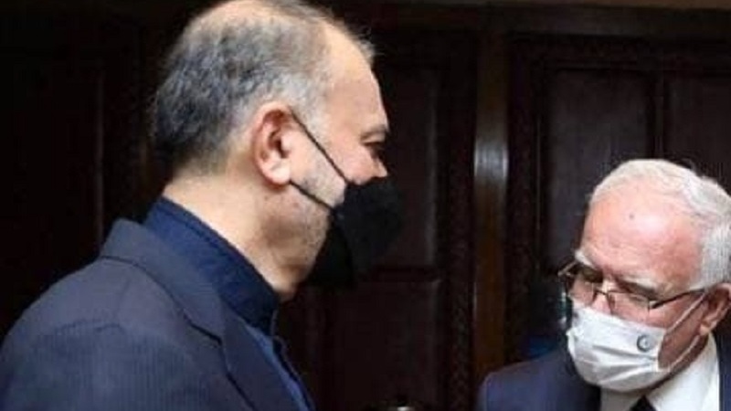 Abdollahian asisitiza msimamo wa Iran wa kuliunga mkono taifa la Palestina