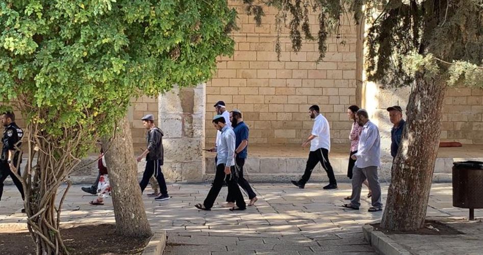 85 extremist Jewish settlers defile Aqsa Mosque under police guard