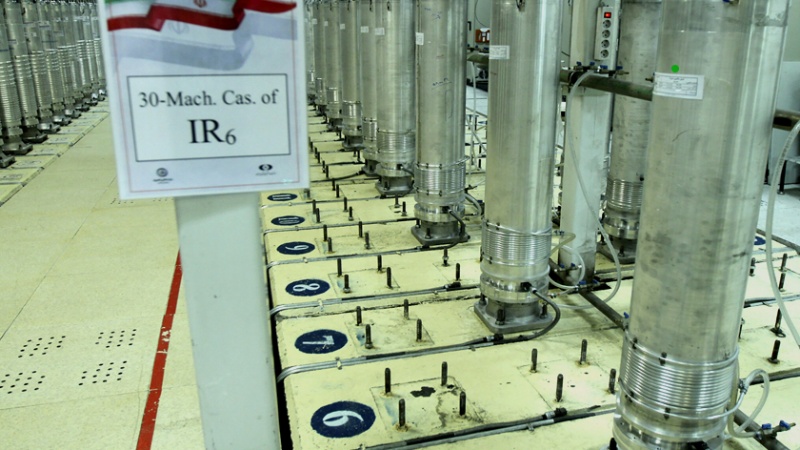 Vorsitzender der iranischen Atomenergieorganisation: Nukleare Aktivitäten des Iran liegen im Rahmen der IAEA-Vorschriften