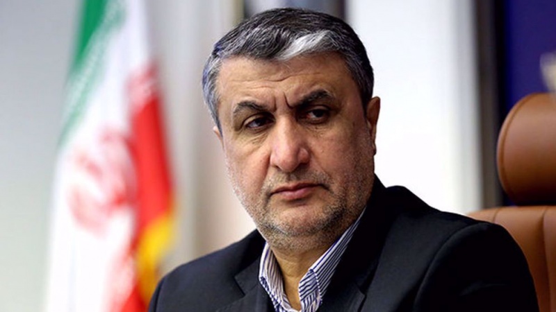 Nucleare, Iran: capaci di produrre combustibile e usarlo presto