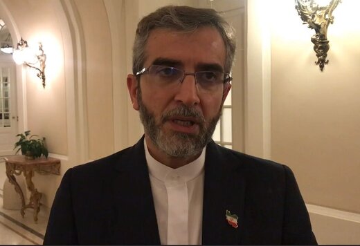 مذاکرات میں پابندیوں کے خاتمے پر ساری توجہ مرکوز رہی: باقری کنی