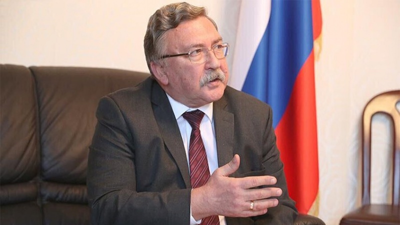 Ulyanov: Alle Seiten bewerten Wiener Gespräche als positiv